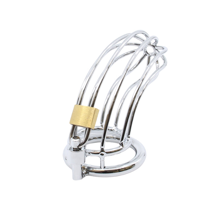 Love In Leather Bird Cage Chastity Device