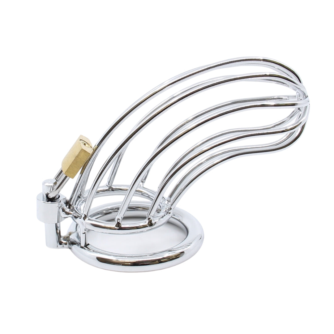 Love In Leather Bird Cage Chastity Device